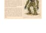 write homebrew ttrpg content